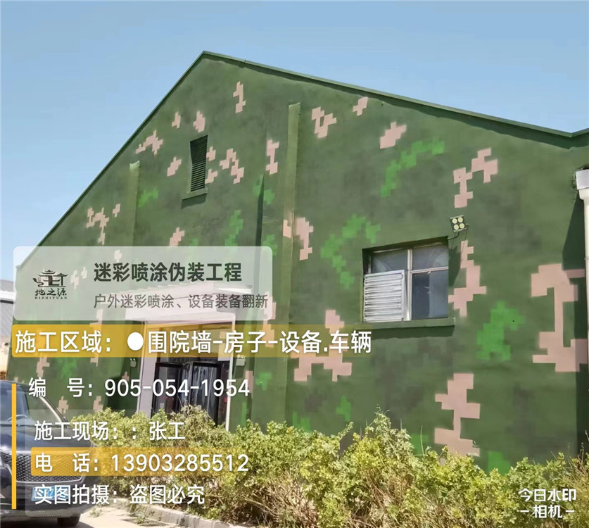 安庆外墙数码迷彩漆施工报价清单（100㎡标准墙面测算）